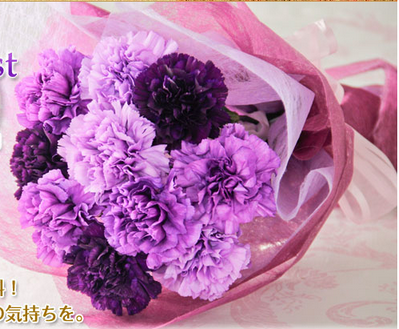 母の日 ムーンダスト 花言葉は 永遠の幸福 ムーンダストの花束 送料無料 母の日 紫のカーネーション ムーンダスト